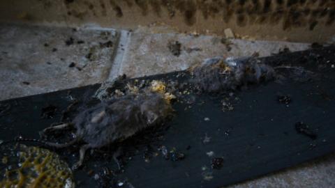 HIGHER Education - IMG_3072.JPG