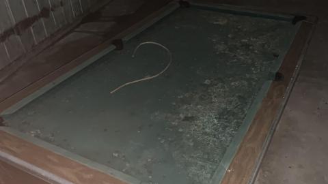 BMW and Boat - IMG_6573.JPG