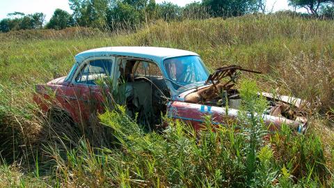 Summer 2012 - DSC_0250.jpg