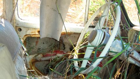 Summer 2012 - DSC_0255.jpg