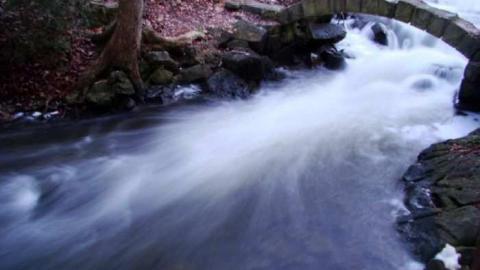 Limehouse Kilns - Limehouse-Kilns35.jpg