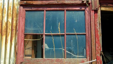 Summer 2012 - DSC_0264.jpg