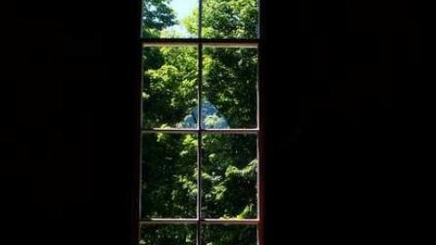 Photo from Summer Reflection