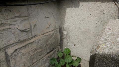 Community Center Exteriors - IMG_2787.JPG