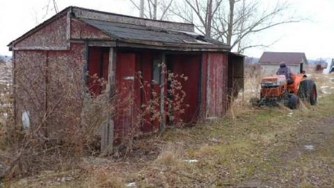 Lord of the Flies - P1060183.jpg