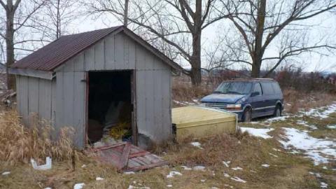 Venus Flytrap photo 5