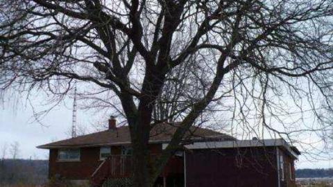 Lord of the Flies - P1060188.jpg