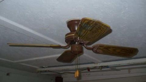 Lord of the Flies - P1060190.jpg