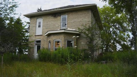 Along The Riverside - July 2015 - 1.JPG