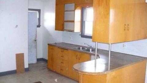 Venus Flytrap - New Tecumseth, Ontario