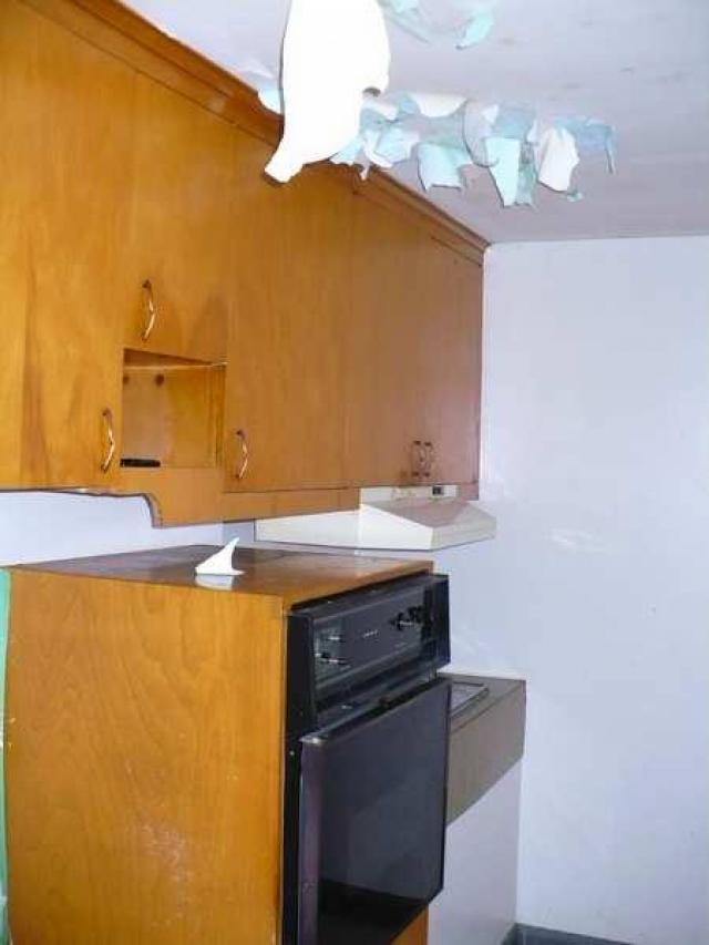 Venus Flytrap photo 3