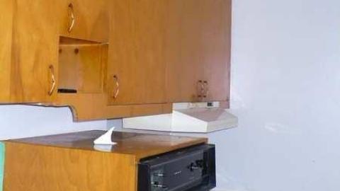 Venus Flytrap photo 3