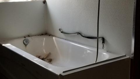 Lil blue - 20210510_152249.jpg