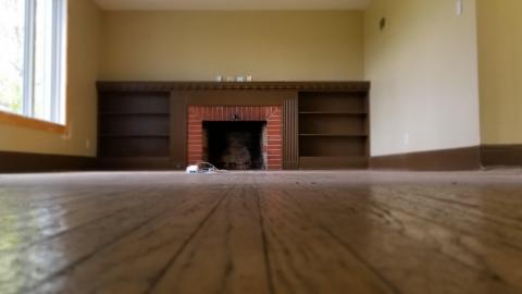 Lil blue - 20210510_154856.jpg