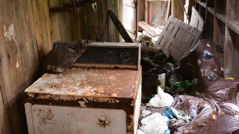 Along The Riverside - July 2015 - 17.jpg