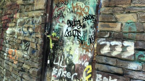 Photo from Sunny day