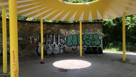 Photo from Sunny day