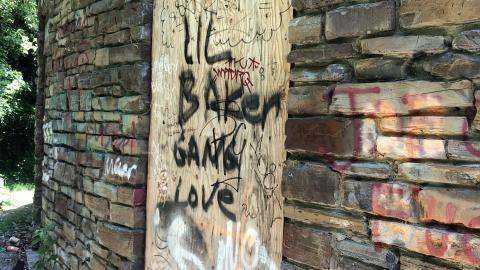 Photo from Sunny day