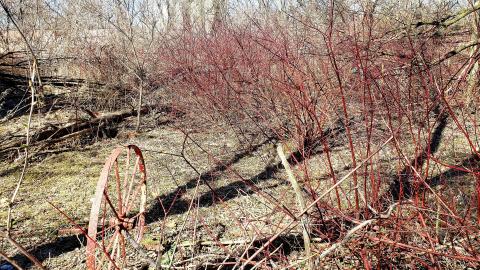 April 2021 - 20210402_211115.jpg