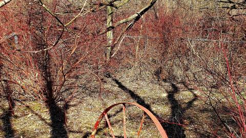 April 2021 - 20210402_211130.jpg