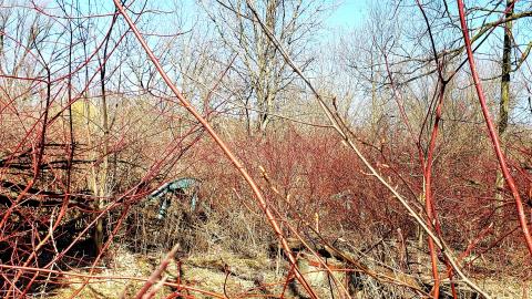 April 2021 - 20210402_211200.jpg