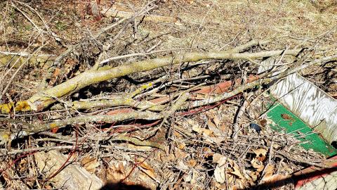 April 2021 - 20210402_211237.jpg