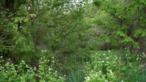 1637 HWY 17 - 1637-Hwy-172.jpg