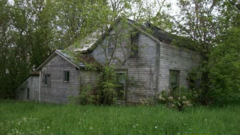 1637 HWY 17 - 1637-Hwy-175.jpg