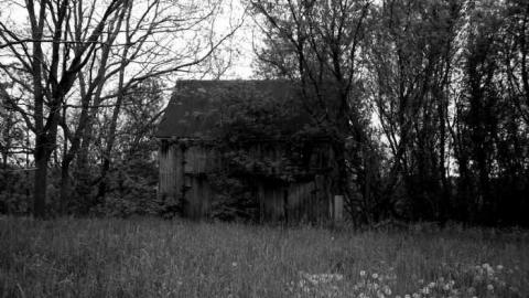 1637 HWY 17 - 1637-Hwy-177.jpg