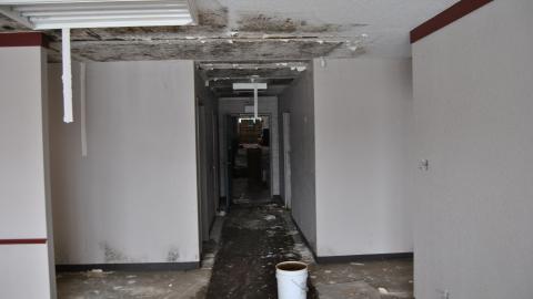 Going For The Gold - November 2012 - DSC_0220.JPG