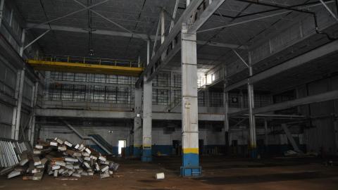 Going For The Gold - November 2012 - DSC_0226.JPG