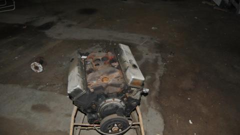 Going For The Gold - November 2012 - DSC_0230.JPG