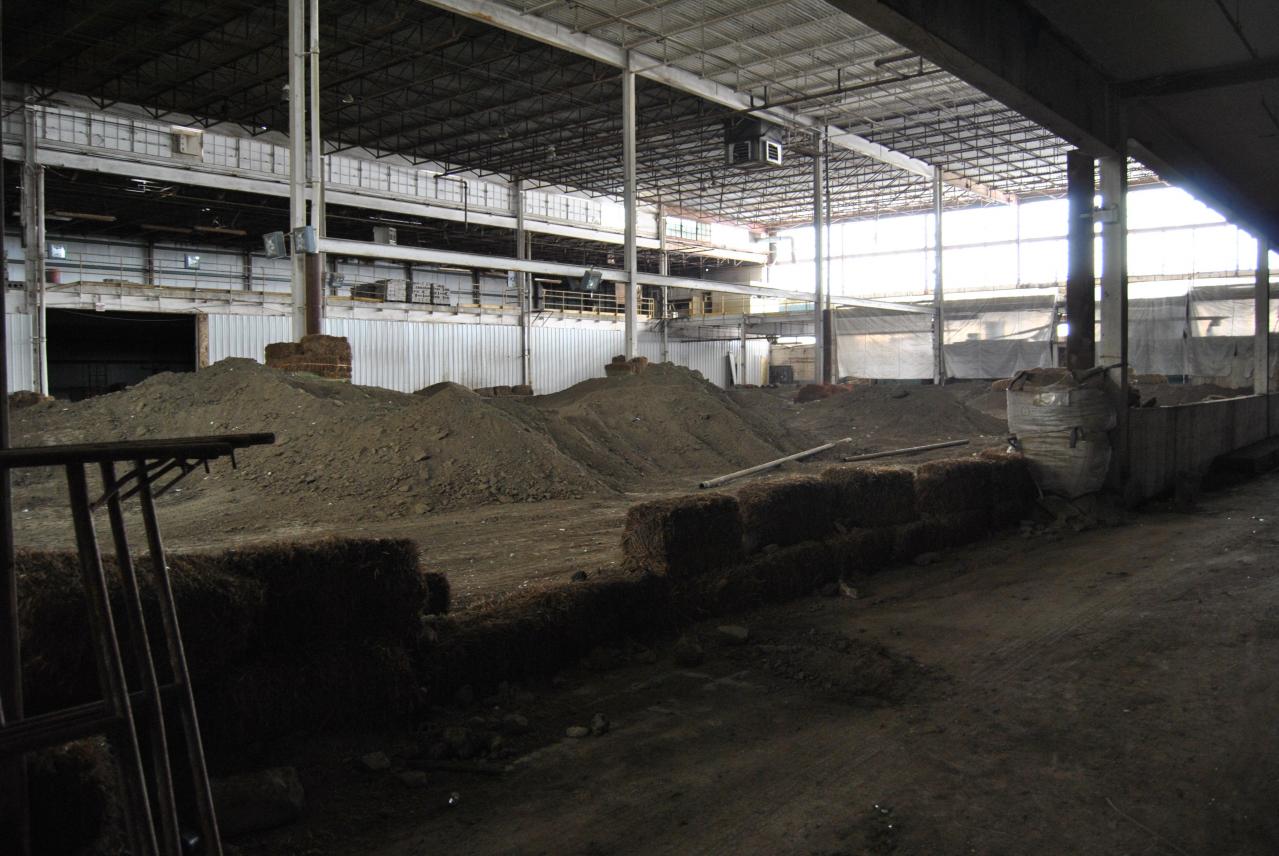 Going For The Gold - November 2012 - DSC_0236.JPG