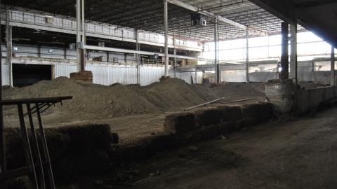 Going For The Gold - November 2012 - DSC_0236.JPG