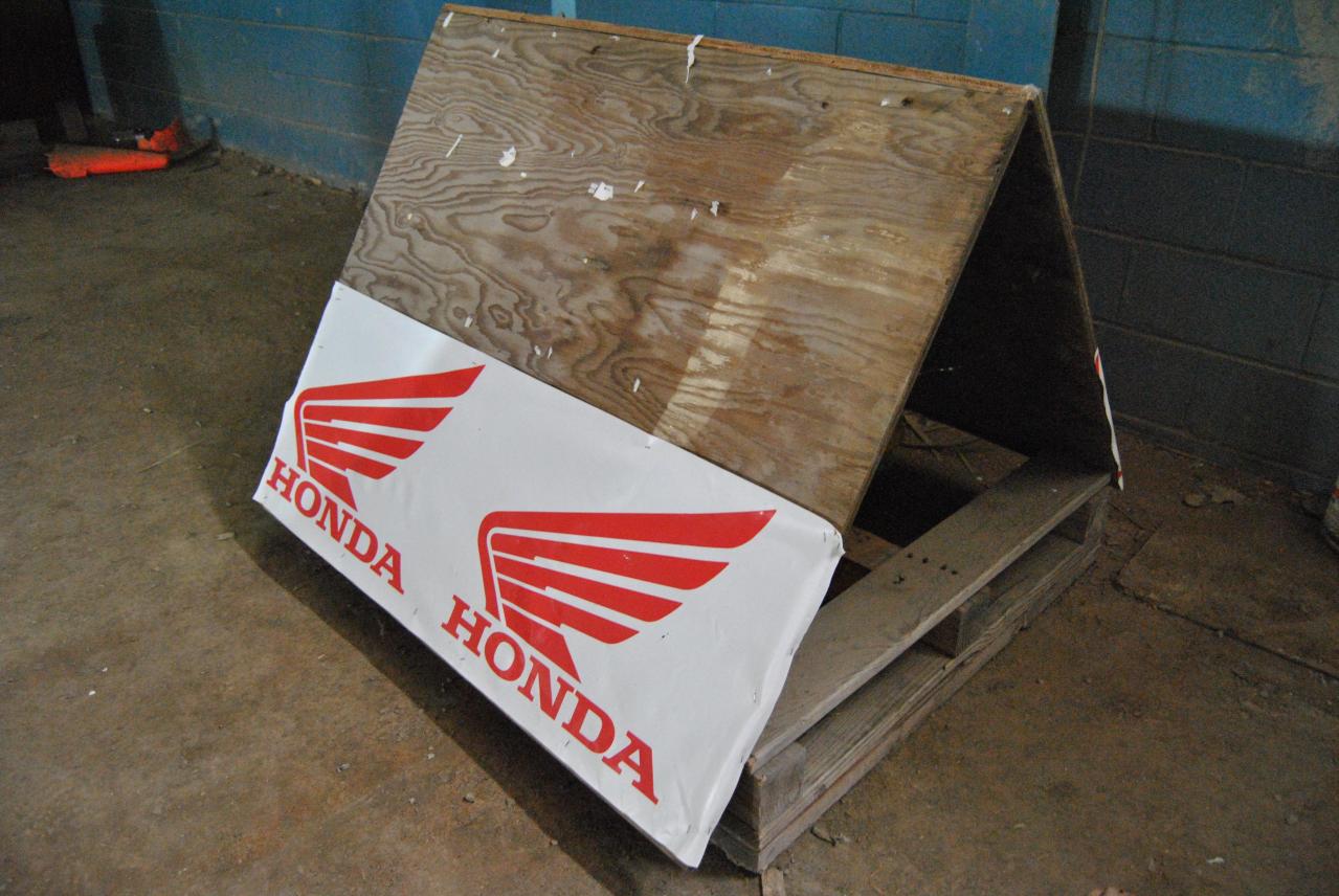 Going For The Gold - November 2012 - DSC_0240.JPG