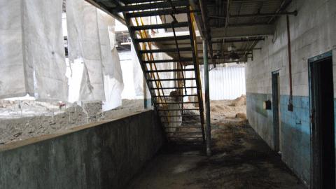 Going For The Gold - November 2012 - DSC_0245.JPG