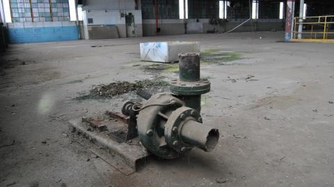 Going For The Gold - November 2012 - DSC_0248.JPG