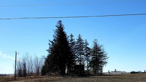 Photo from April 2021