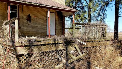 April 2021 - 20210403_135436.jpg