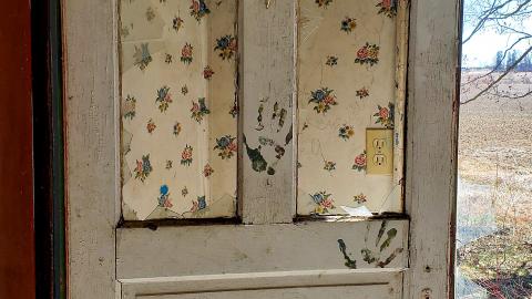 April 2021 - 20210403_135446.jpg