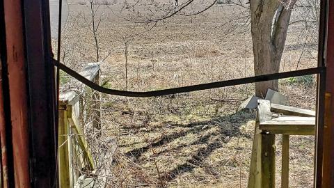 April 2021 - 20210403_135510.jpg