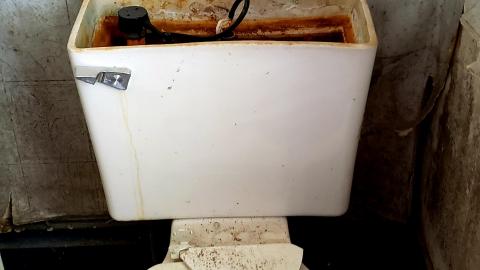 April 2021 - 20210403_140027.jpg