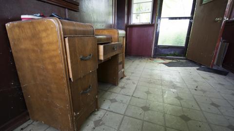 Photo from Flowers In Woodstock - June 2016