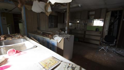 Flowers In Woodstock - June 2016 - DSC_0373.jpg