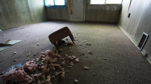 Flowers In Woodstock - June 2016 - DSC_0374.jpg