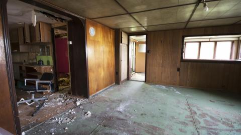 Flowers In Woodstock - June 2016 - DSC_0379.jpg