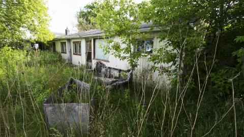 Flowers In Woodstock - June 2016 - DSC_0381.jpg