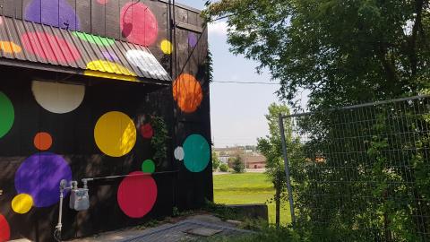 The Clown Zone photo 2