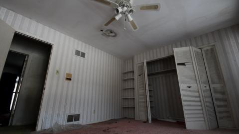 Photo from Wasted Wicker....Wasted FEB 2021