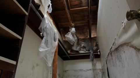 Photo from Wasted Wicker....Wasted FEB 2021